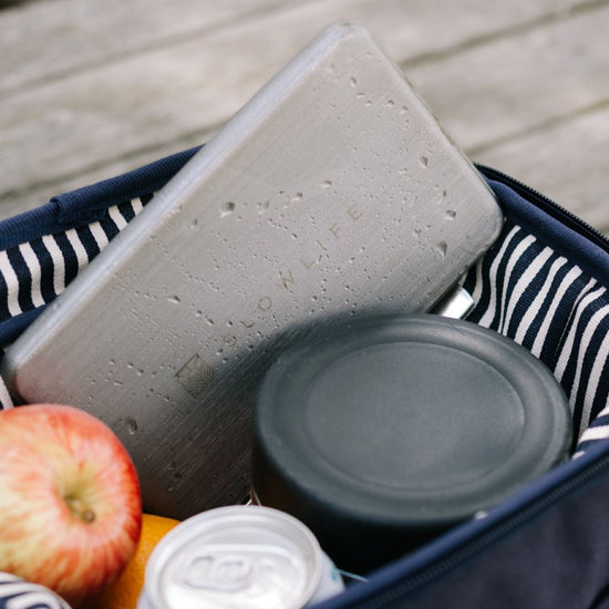 Navy cooler bag with striped lining holding fruit, a can, and a container.
